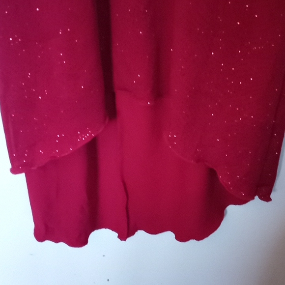 Shiny Red Dress - Picture 7 of 7